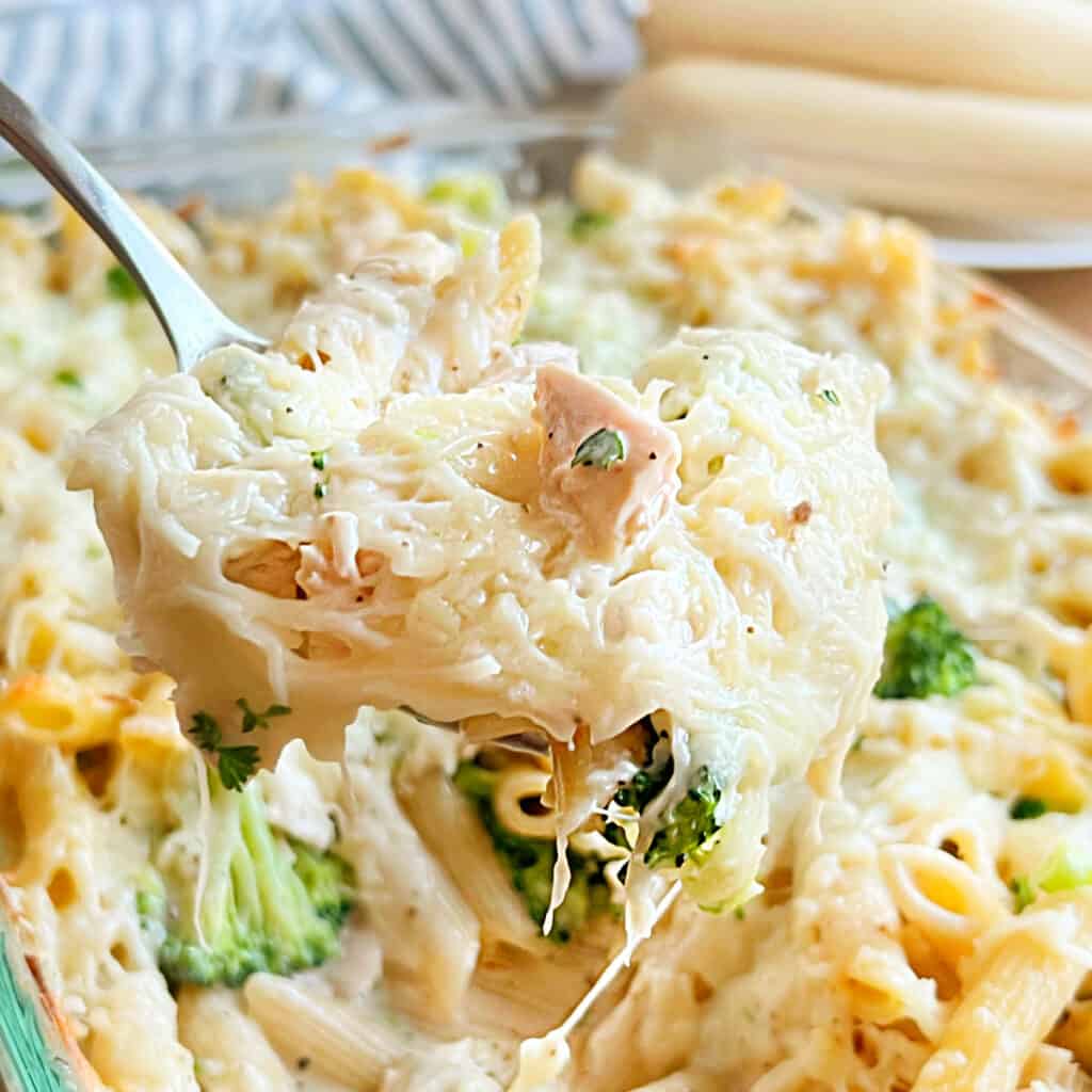 Chicken Broccoli Alfredo Casserole Easy Recipe Meatloaf And Melodrama