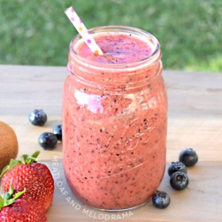 Summer Fruit Smoothie - Meatloaf and Melodrama