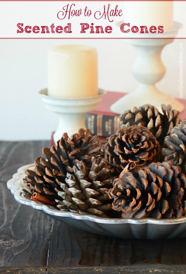 How to Make Scented Pine Cones - Meatloaf and Melodrama