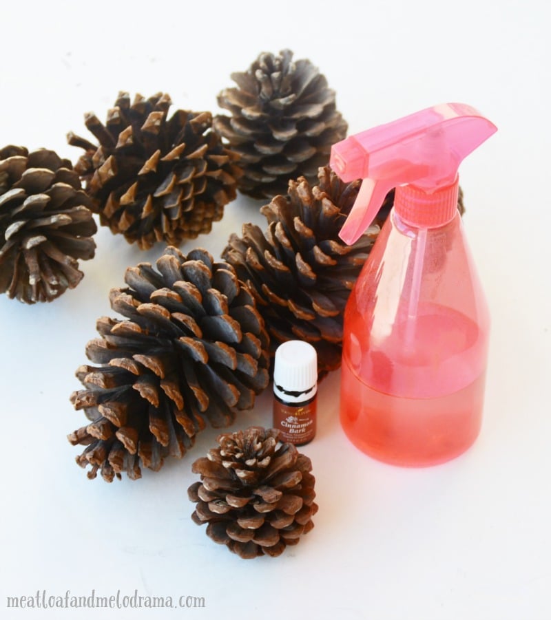 How to Make Scented Pinecones for the Christmas Home - Hilltop