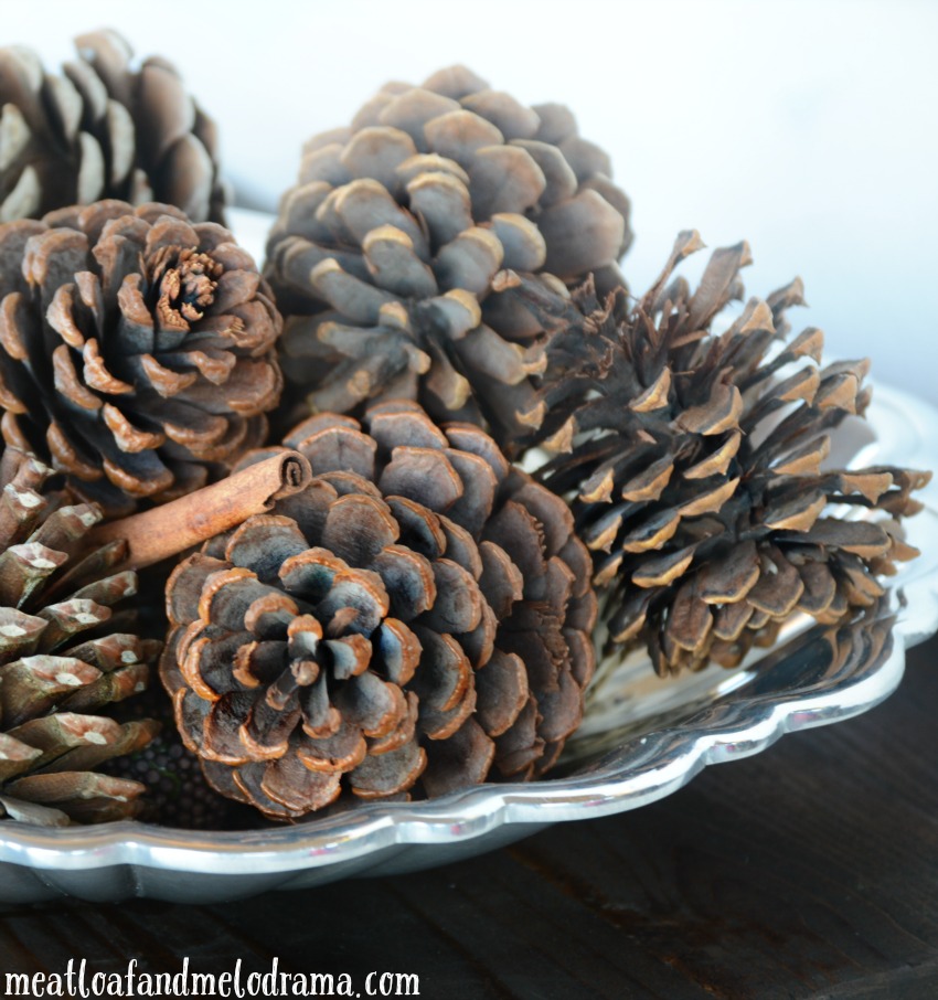 Make Your Own Scented Pine Cones - Soap Queen