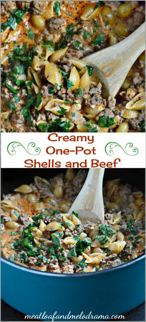 creamy one pot shells and beef recipe