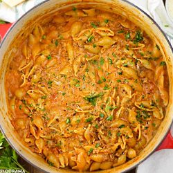 shell pasta and ground beef with creamy tomato sauce in red dutch oven