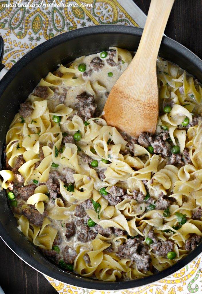 One-Pot Ground Beef Stroganoff - Meatloaf and Melodrama