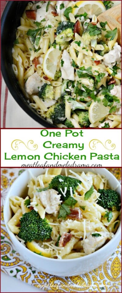 One Pot Creamy Lemon Chicken Pasta - Meatloaf and Melodrama