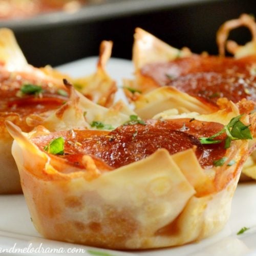 Pepperoni Pizza Dip Wonton Cups - Meatloaf and Melodrama