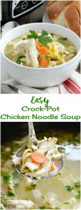 Easy Crock-Pot Chicken Noodle Soup - Meatloaf and Melodrama