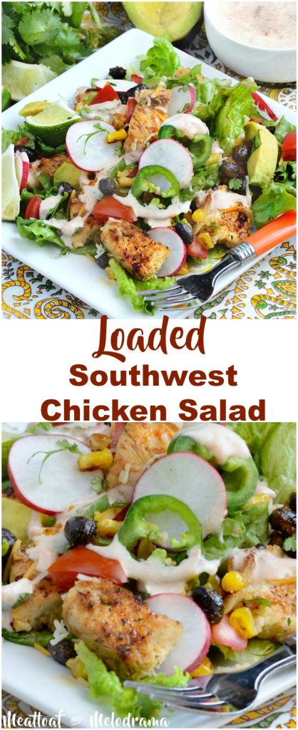 Loaded Southwest Chicken Salad - Meatloaf and Melodrama