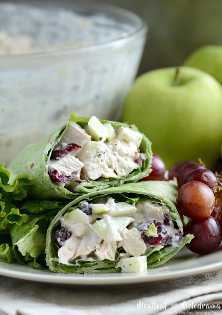 Cranberry Chicken Salad with Apples - Meatloaf and Melodrama