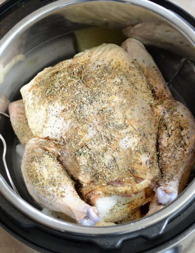 Instant Pot Whole Roast Chicken Recipe - Meatloaf and Melodrama