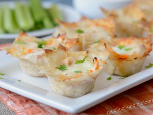 Avocado Dip Wonton Cups - Meatloaf and Melodrama