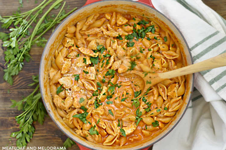 One Pot Creamy Chicken Pasta - Meatloaf and Melodrama