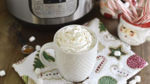 Easy Instant Pot Hot Chocolate Recipe + Video