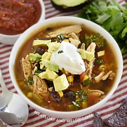 Instant Pot Chicken Taco Soup - Meatloaf and Melodrama