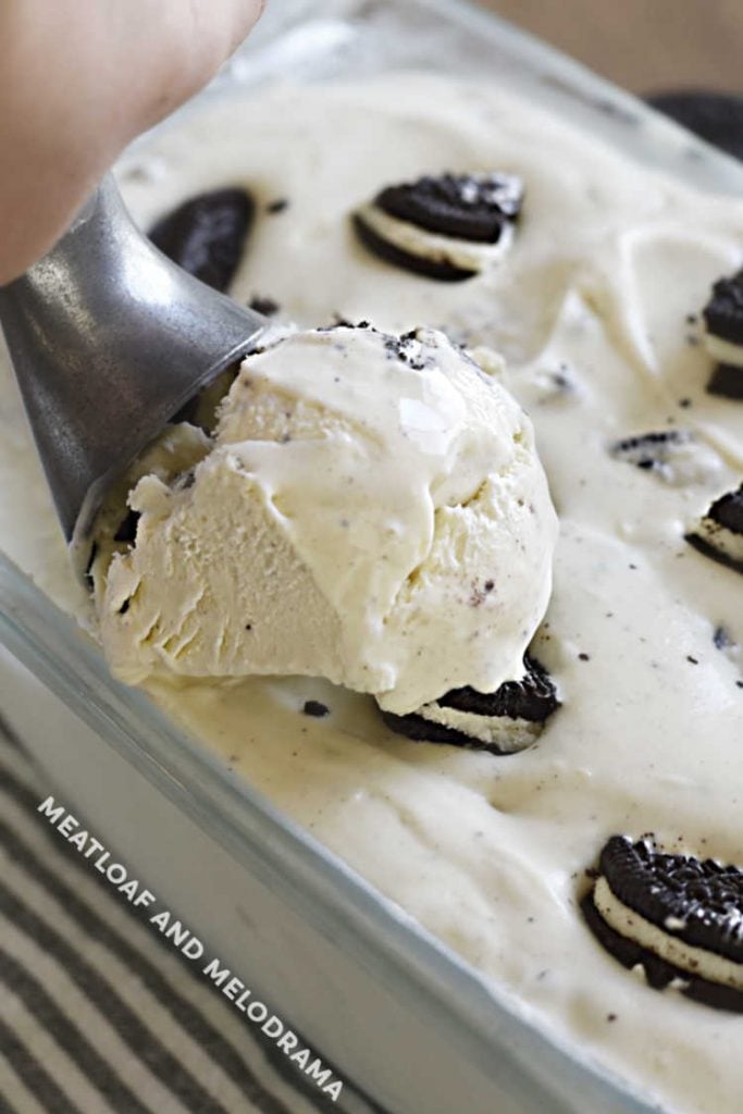  ice cream scoop in oreo cookie ice cream
