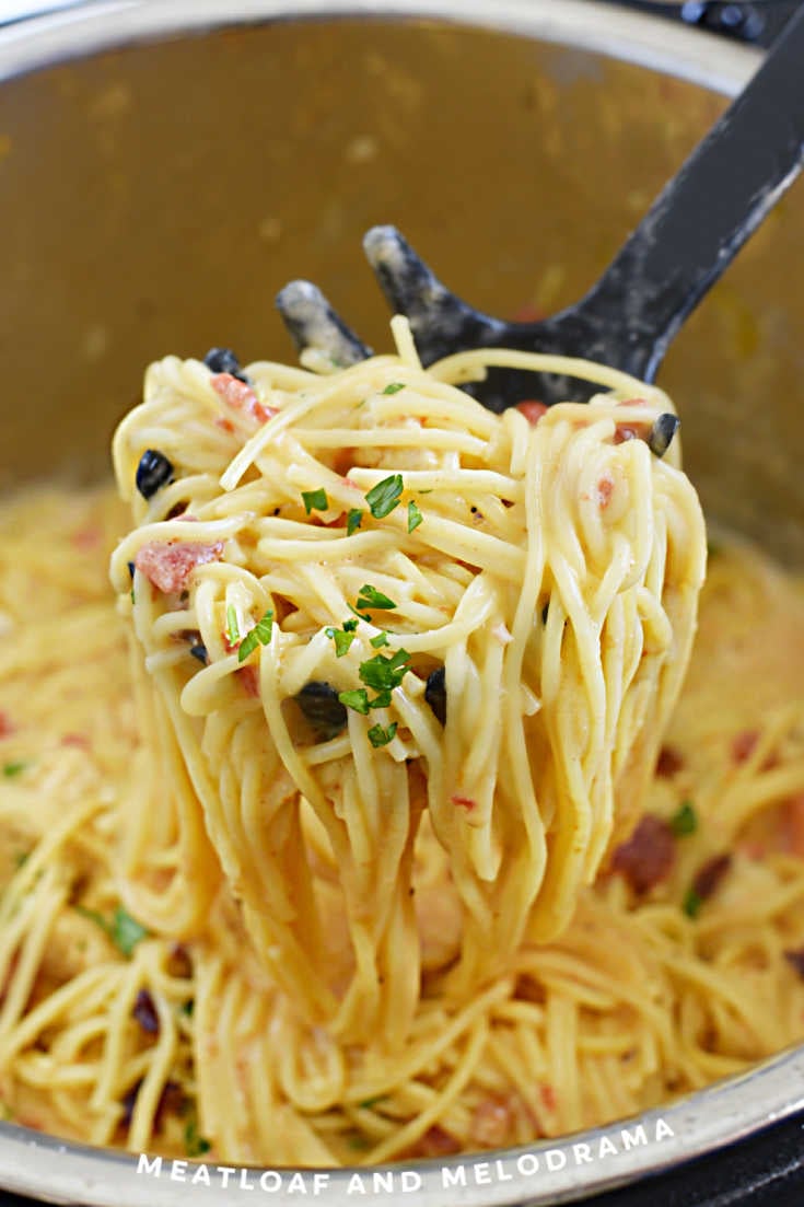 Instant Pot Chicken Spaghetti Meatloaf And Melodrama