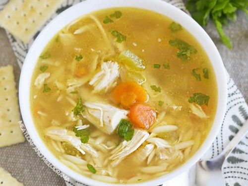 Instant Pot Rotisserie Chicken Soup