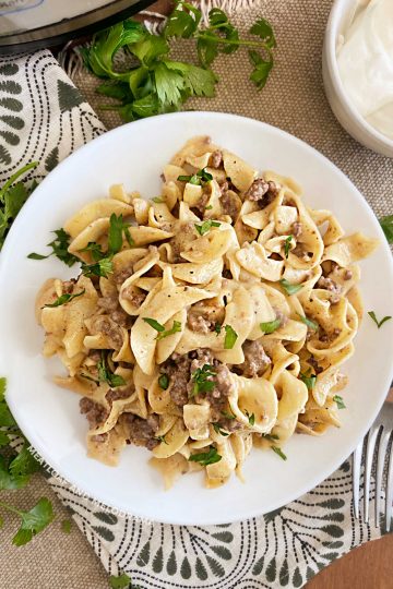 Instant Pot Ground Beef Stroganoff - Meatloaf and Melodrama