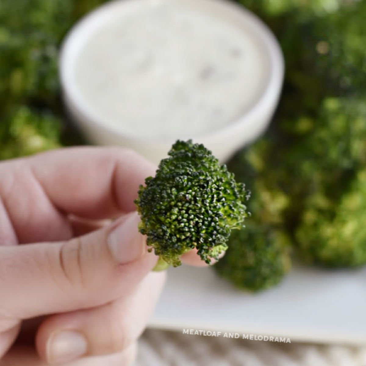 Instant Pot Vortex Plus Broccoli Parmesan - Fork To Spoon