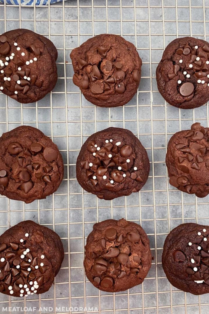 Best Double Chocolate Chip Cookies - Meatloaf and Melodrama