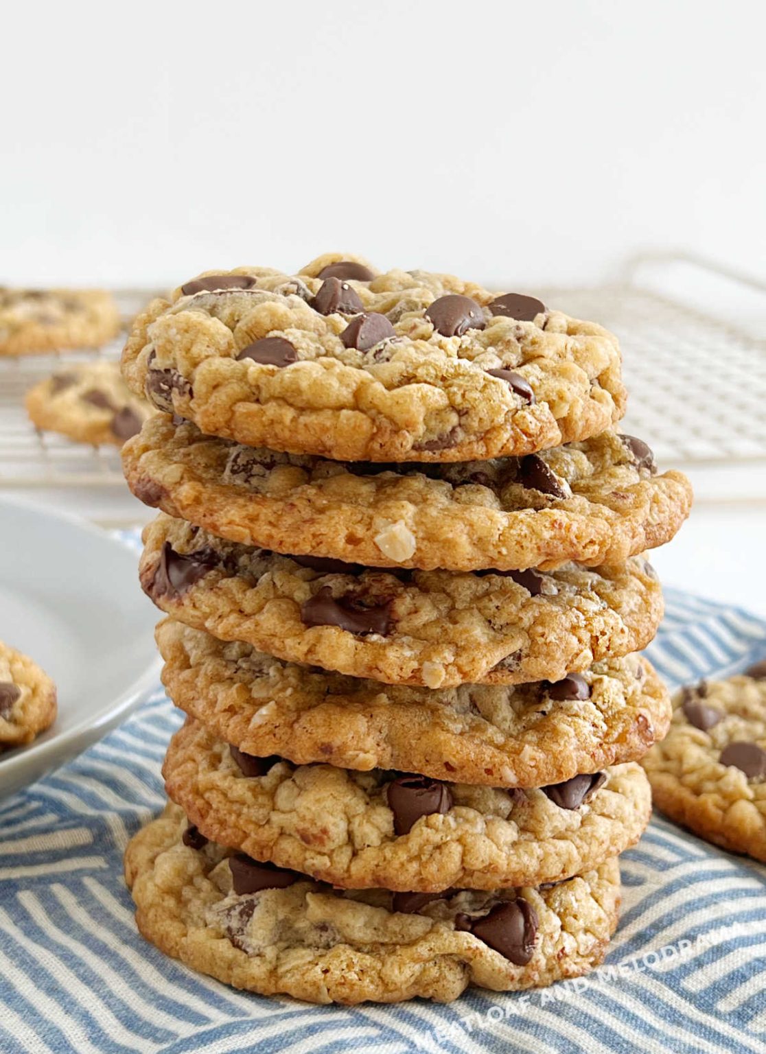 The Best Oatmeal Chocolate Chip Cookies - Meatloaf And Melodrama