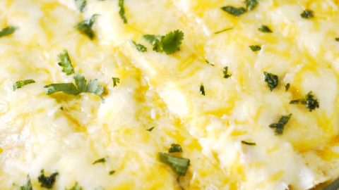 Easy pressure cooker online enchiladas