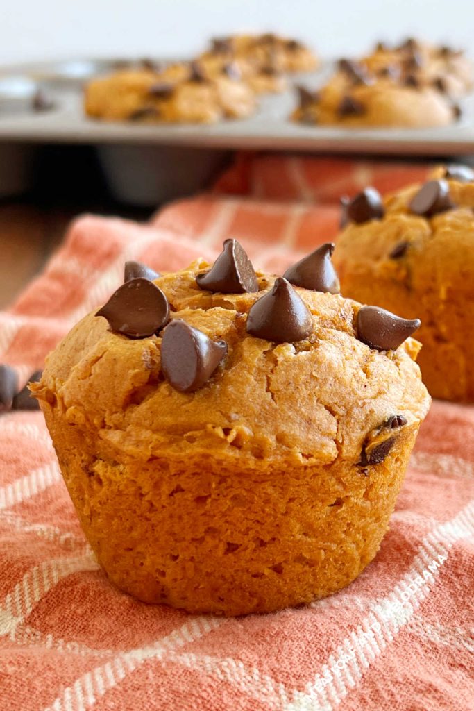 Easy Pumpkin Chocolate Chip Muffins With Cake Mix - Meatloaf And Melodrama