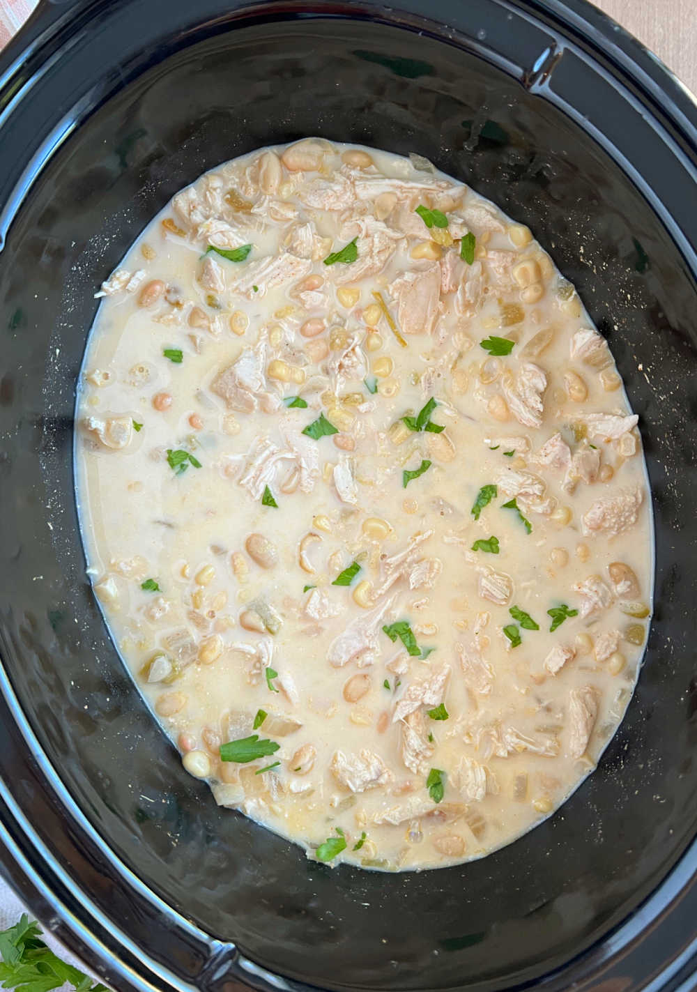 https://www.meatloafandmelodrama.com/wp-content/uploads/2022/10/slow-cooker-white-chicken-chili-crockpot.jpeg