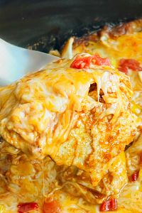 Slow Cooker Chicken Enchilada Casserole - Meatloaf and Melodrama