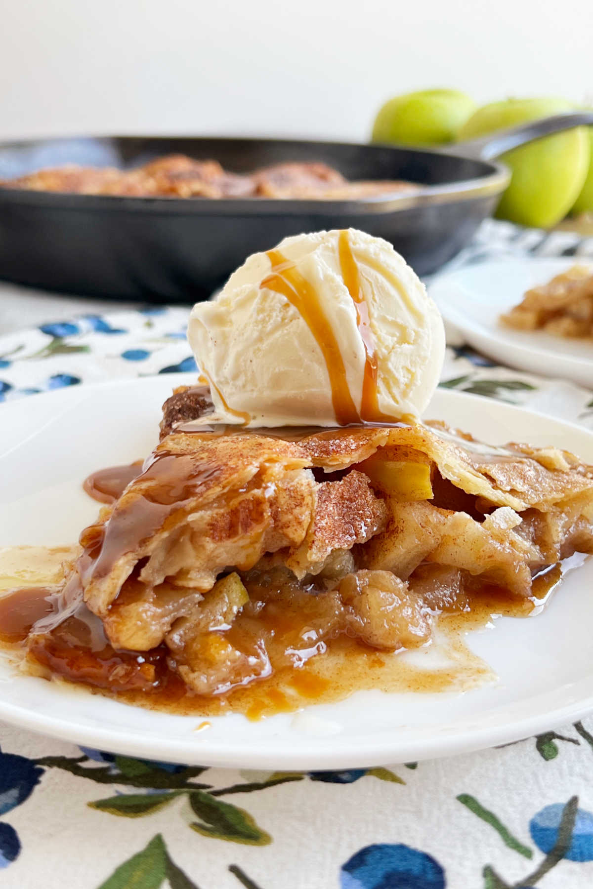 https://www.meatloafandmelodrama.com/wp-content/uploads/2023/08/skillet-apple-pie-recipe.jpeg