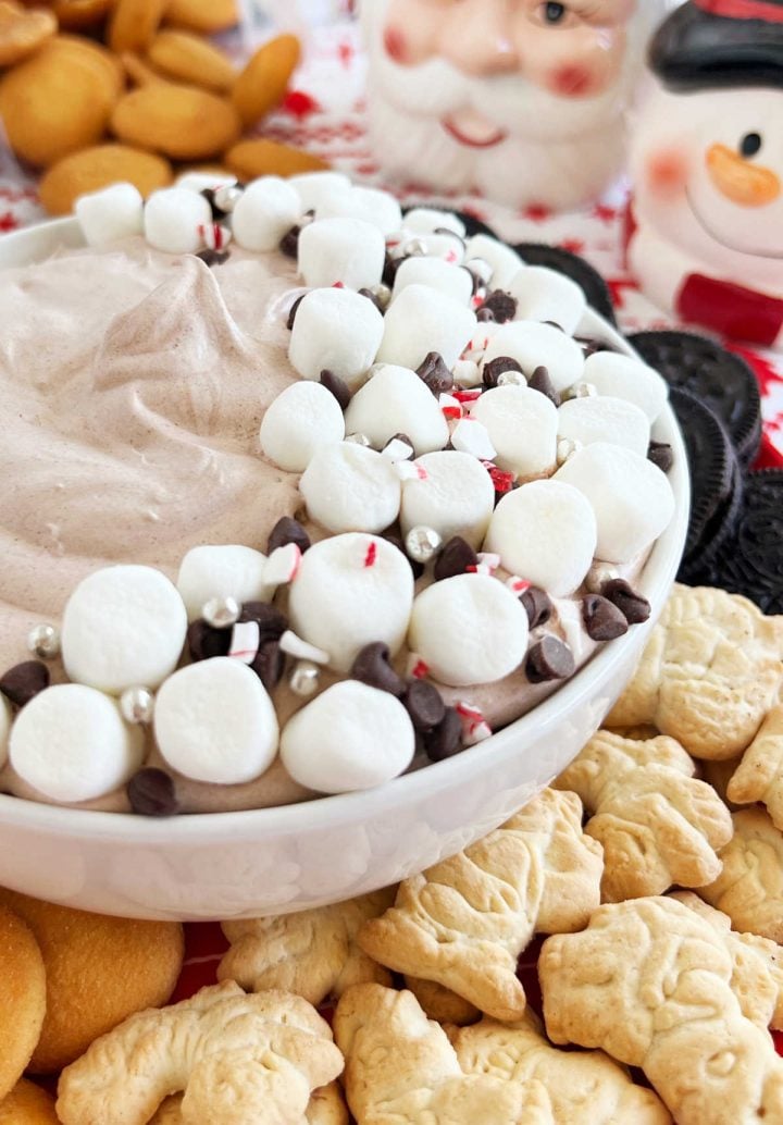 Hot Chocolate Dip 2 Ingredient Recipe Meatloaf And Melodrama   Hot Chocolate Dip Marshmallows 720x1034 