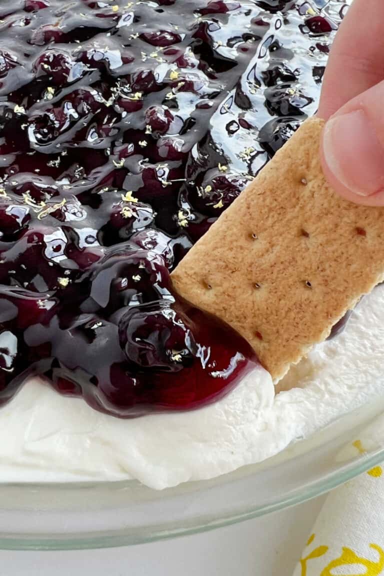 Lemon Blueberry Cheesecake Dip (No Bake Dessert) - Meatloaf and Melodrama