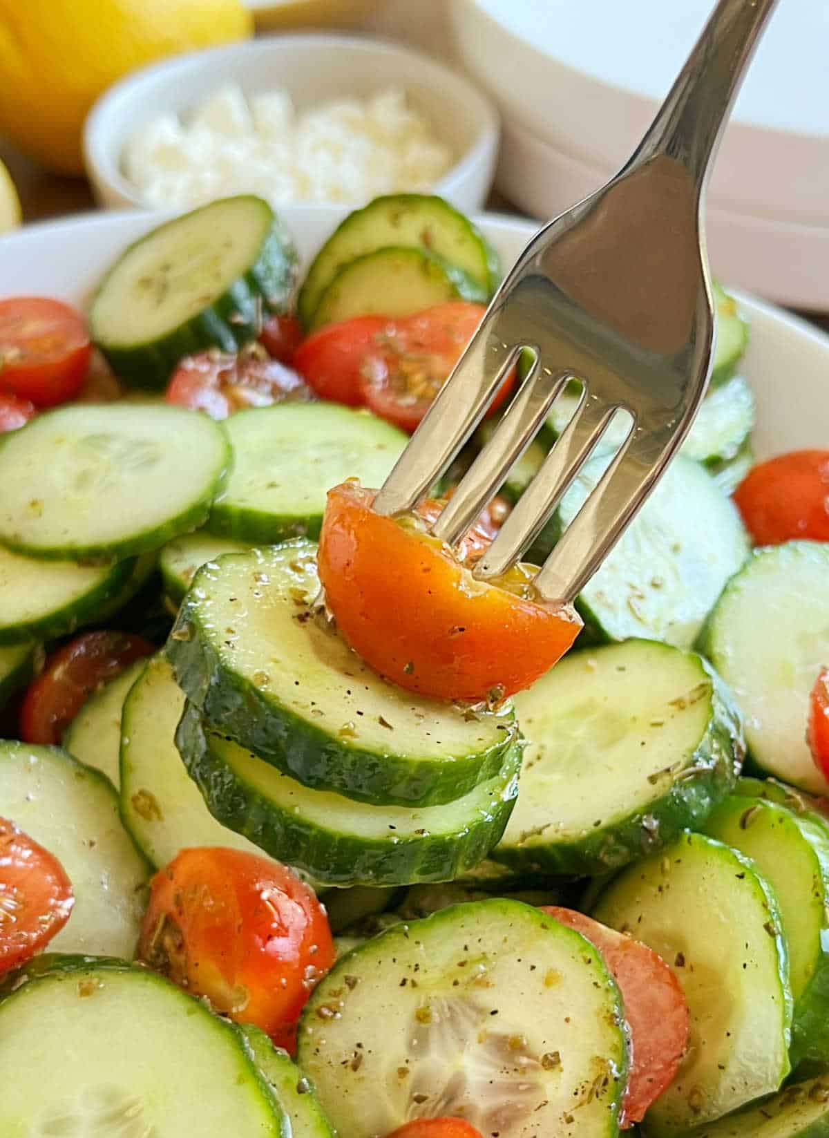 tomato cucumber salad on a fork.