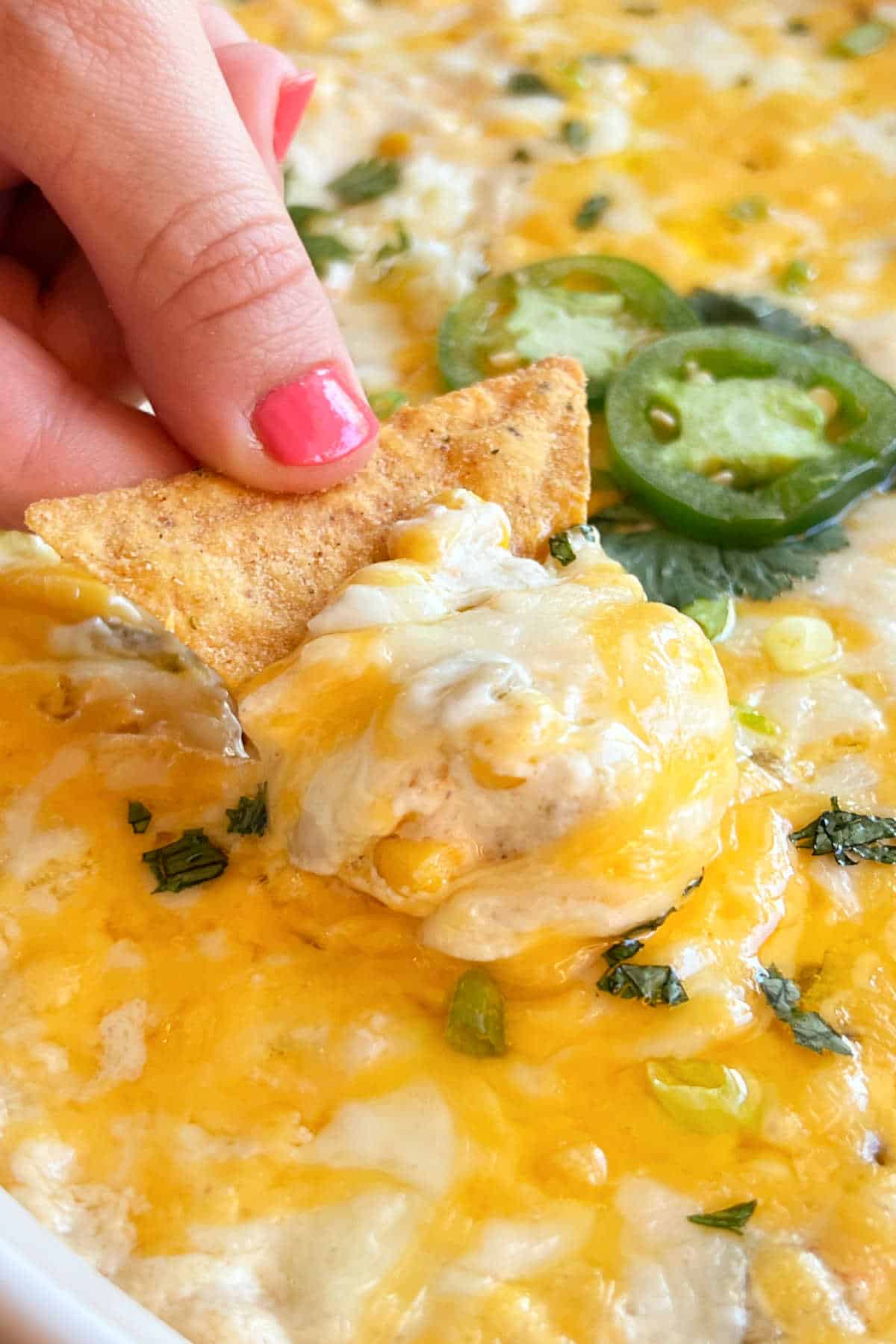 hot corn dip with cream cheese on a tortilla chip.