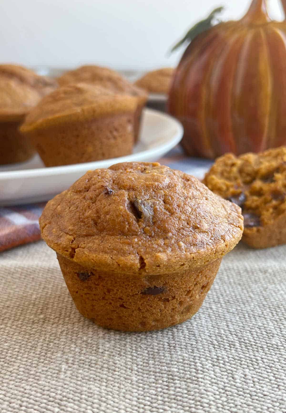 homemade pumpkin spice muffins with chocolate chips on the table.