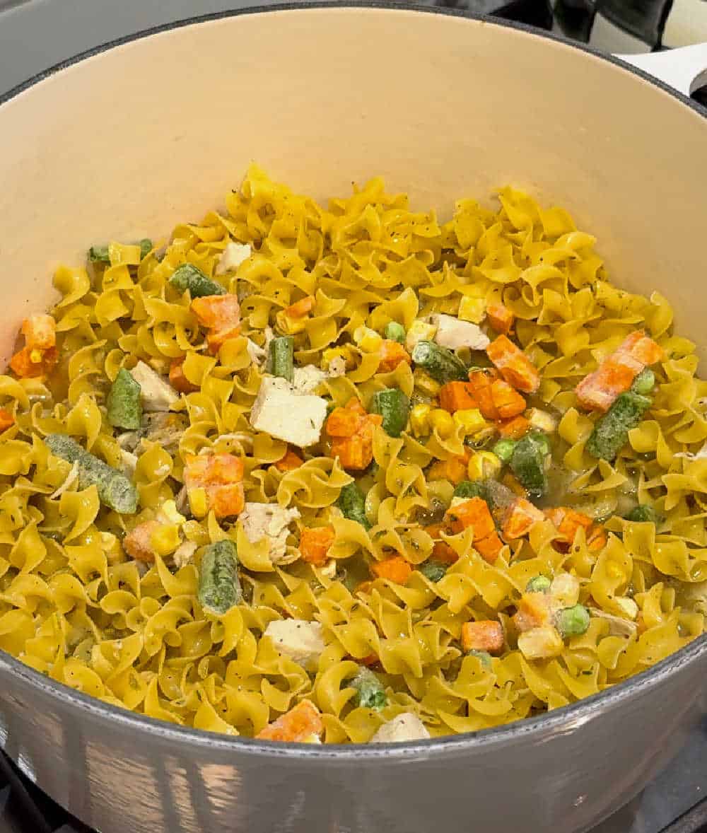 turkey, egg noodles and veggies in dutch oven.