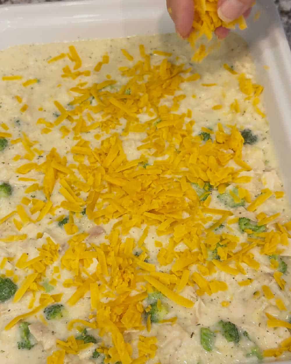 sprinkle cheese on casserole.