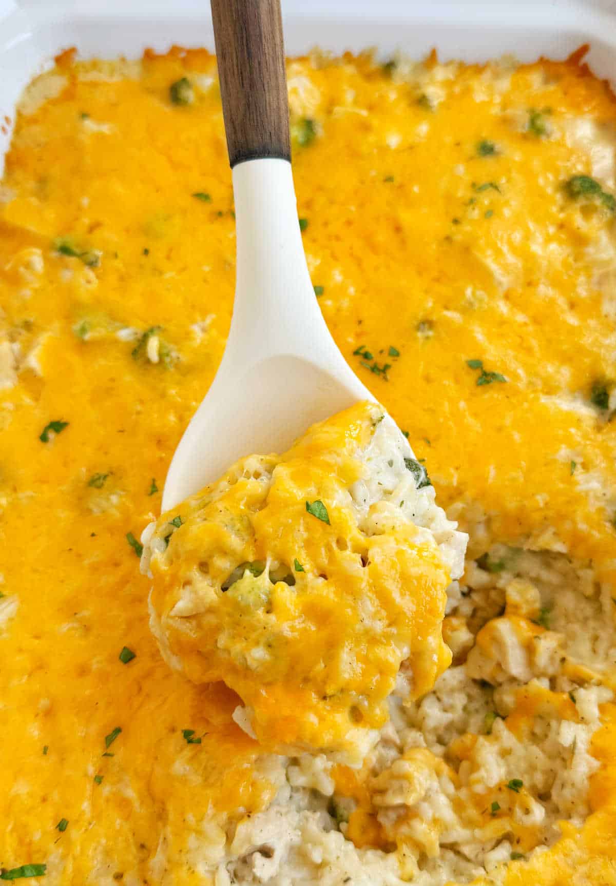 easy chicken broccoli rice casserole with cheese on serving spoon.